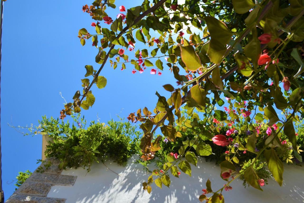סנטה טרזה גאיורה Casa Gandamar B&B מראה חיצוני תמונה